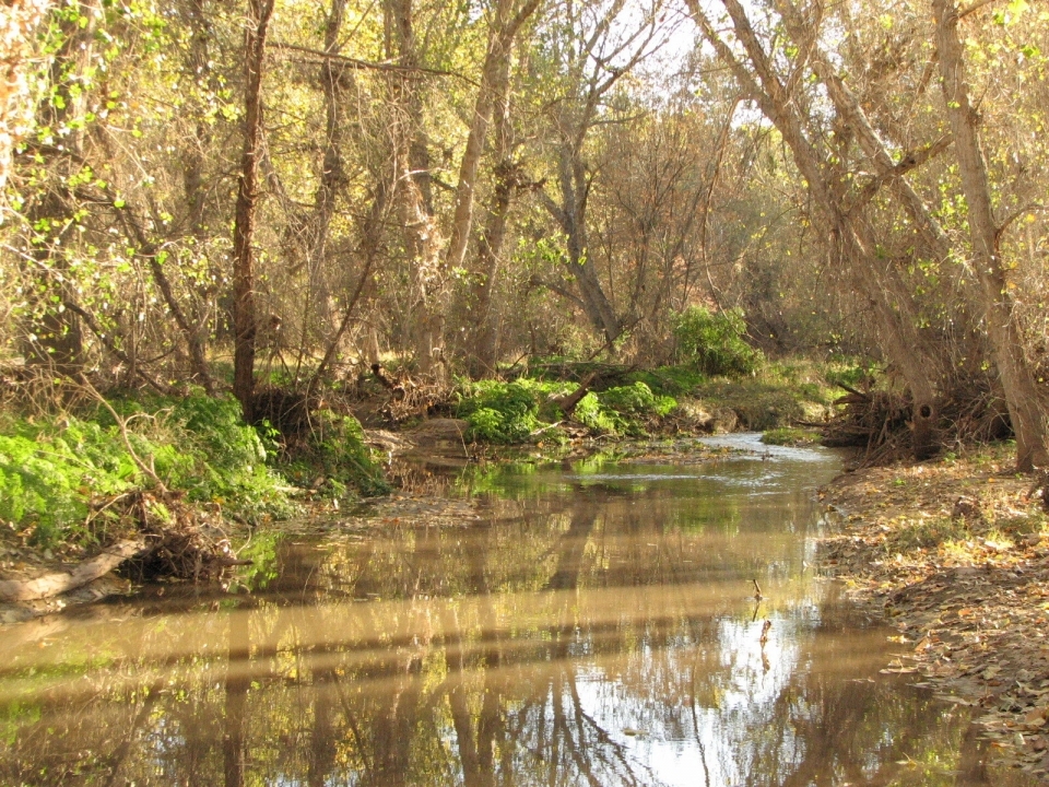 Parks that Celebrate Native American Heritage