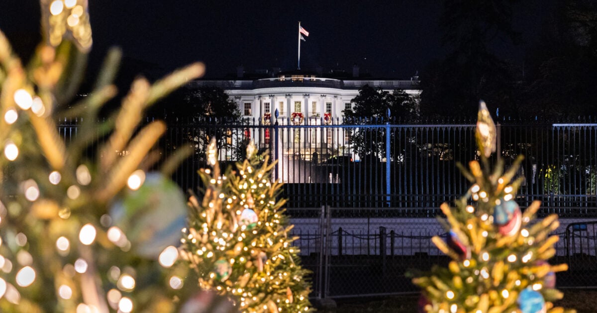 Lighting of the on sale christmas tree