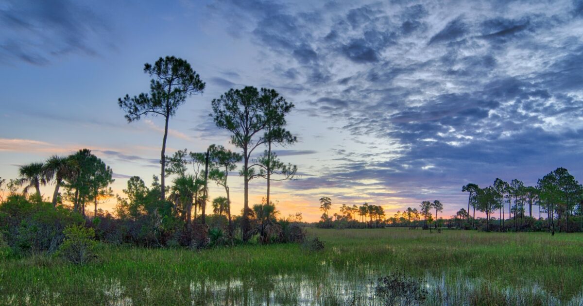 Training NPS Staff On Tribal Consultation | National Park Foundation