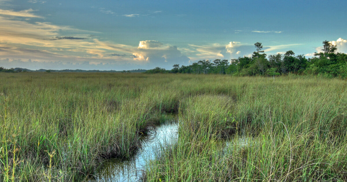 Protecting the Wonders of Everglades National Park