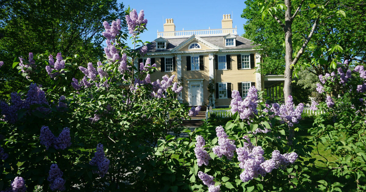 Christmas Bells - Longfellow House Washington's Headquarters National  Historic Site (U.S. National Park Service)